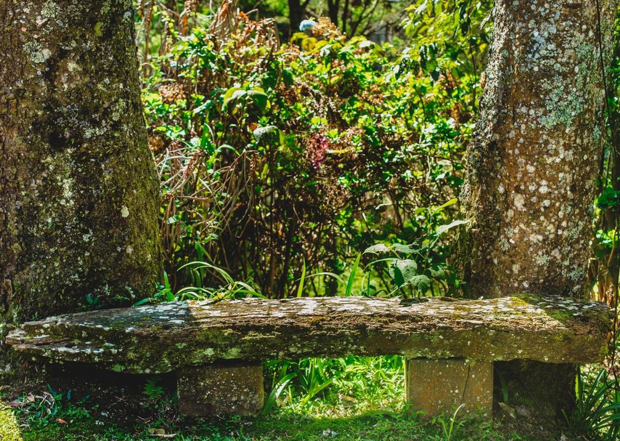 Pousada Sao Chico Eco Village São Francisco de Paula Zewnętrze zdjęcie