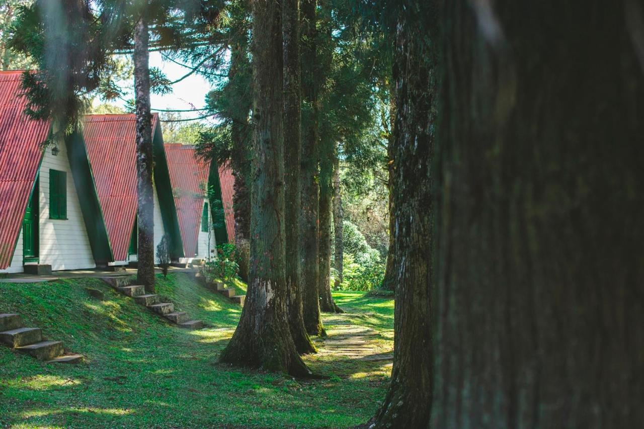 Pousada Sao Chico Eco Village São Francisco de Paula Zewnętrze zdjęcie